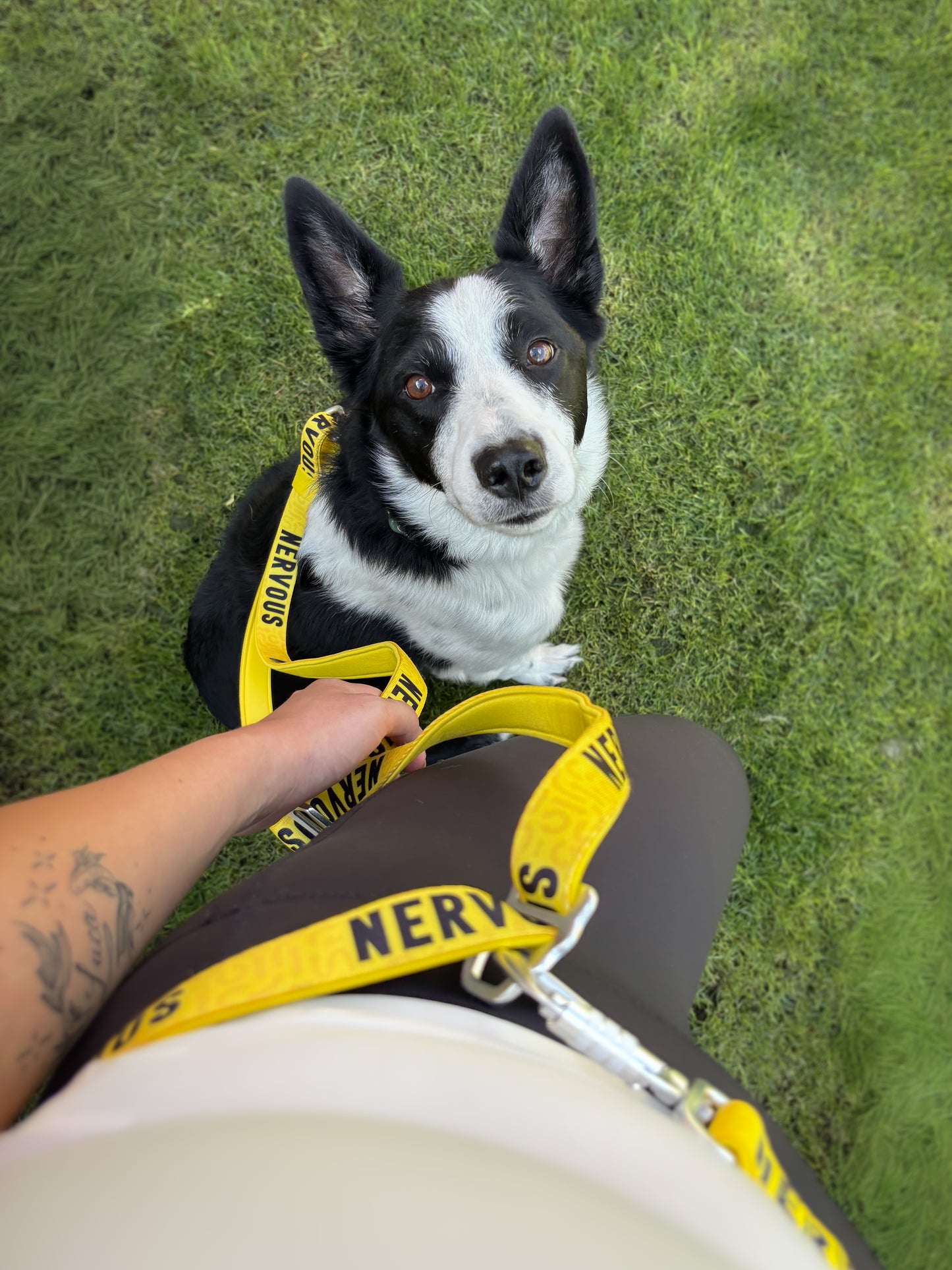 Awareness Multiway Lead | Twiggy Tags