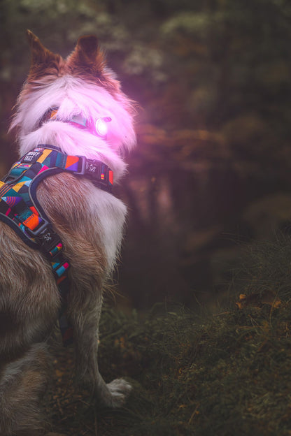 Trek Bright Safety Light | Twiggy Tags