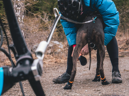 Non-stop Dogwear Protector Bootie
