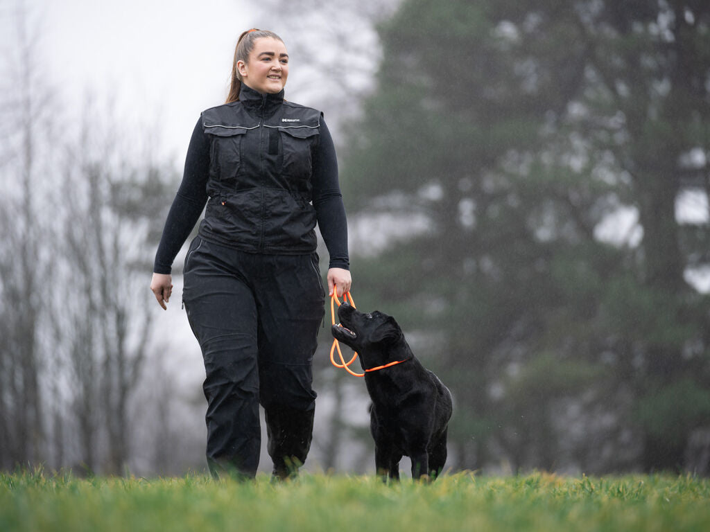 Retriever Leash Slip Lead | Non-stop Dogwear