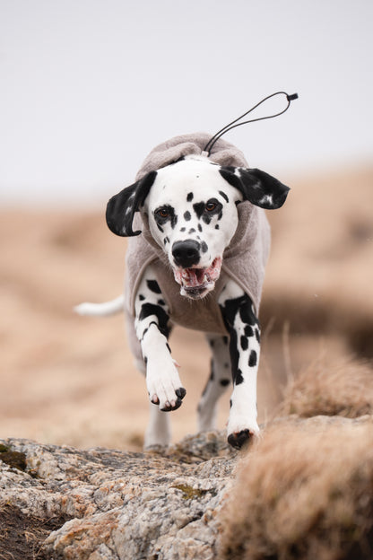 Drying Coat | Non-stop Dogwear