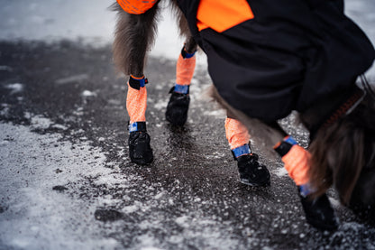 Protector Bootie High | Non-stop Dogwear