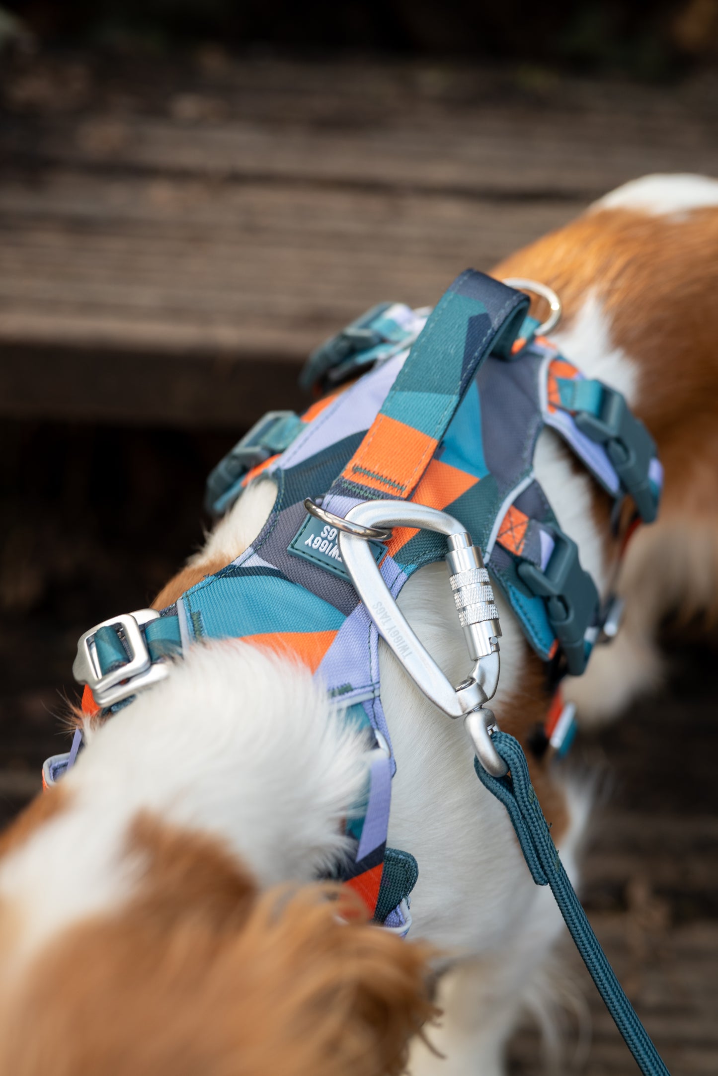 Scramble Harness | Twiggy Tags