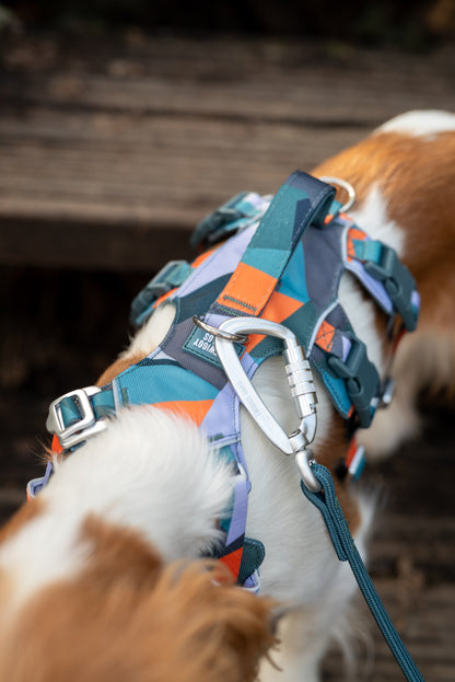 Scramble Harness | Twiggy Tags