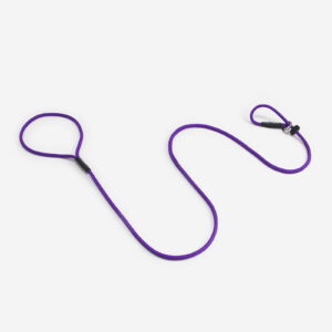 Dog and Field Signature Slip Lead