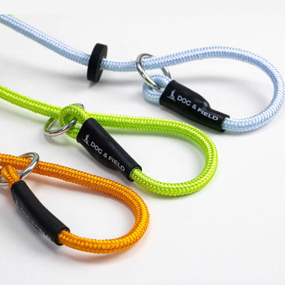Dog and Field Signature Slip Lead
