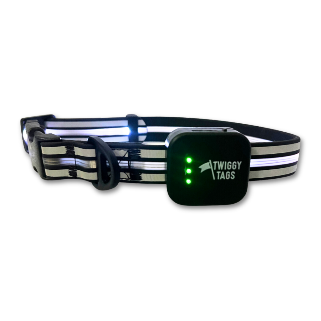 TrekBright® Light-Up Collar