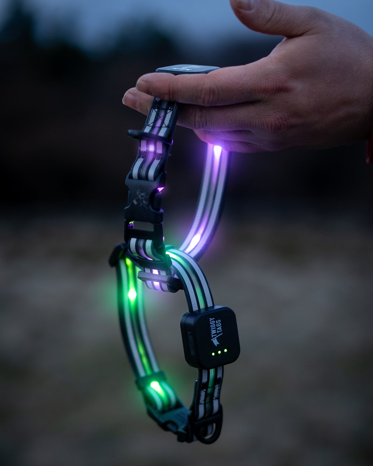 Twiggy Tags Trek Bright LED dog collar bright flashing multicolour collar for dogs. High Vis dog collar at Track and Trail Canine Outfiters