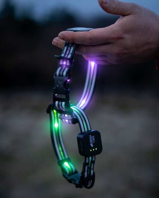 Twiggy Tags Trek Bright LED dog collar bright flashing multicolour collar for dogs. High Vis dog collar at Track and Trail Canine Outfiters