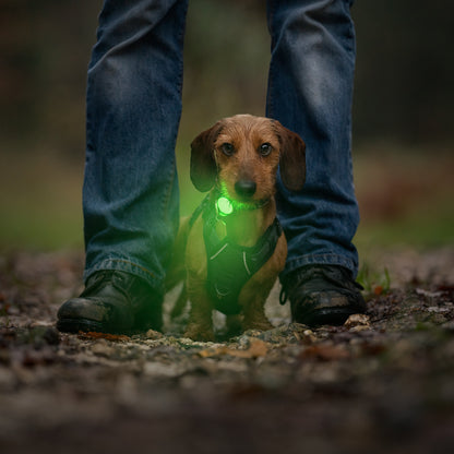 Trek Bright Safety Light | Twiggy Tags