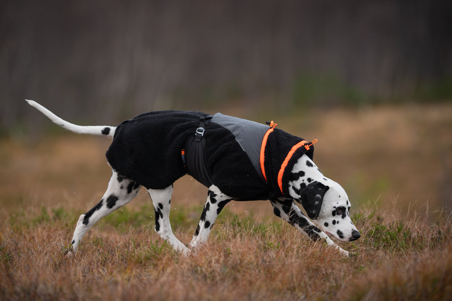 Trekking Fleece Dog Jacket | Non-stop Dogwear
