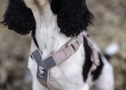 Trekking line harness CLIP'N™ | Non-stop Dogwear