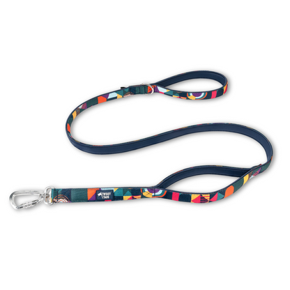 Twiggy Tags Adventure 2.0 Close Control Lead in Aurora Pattern. Multicolour dog lead with traffic handle and twist lock carabiner