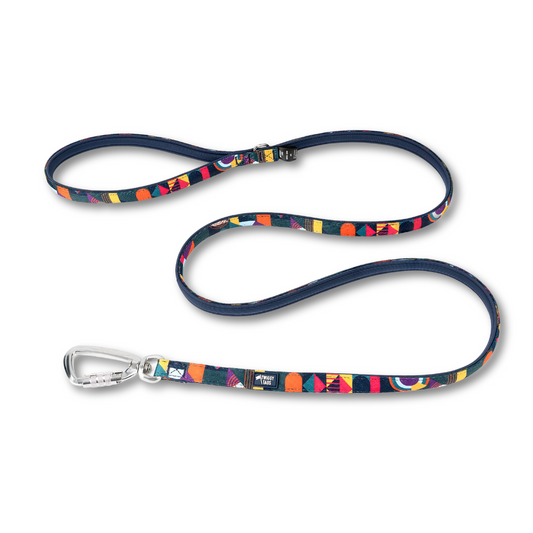 Twiggy Tags Adventure 2.0 Small Lead in Aurora Pattern. Multicolour dog lead with twist lock carabiner