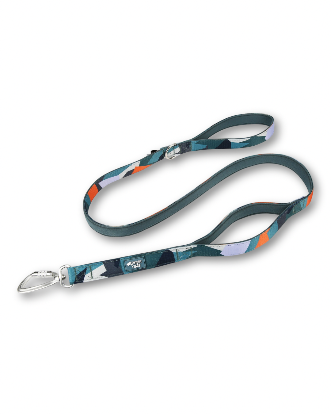 Adventure Close Control Lead | Twiggy Tags