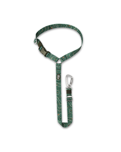 Twiggy Tags | Headrest Safety Seatbelt