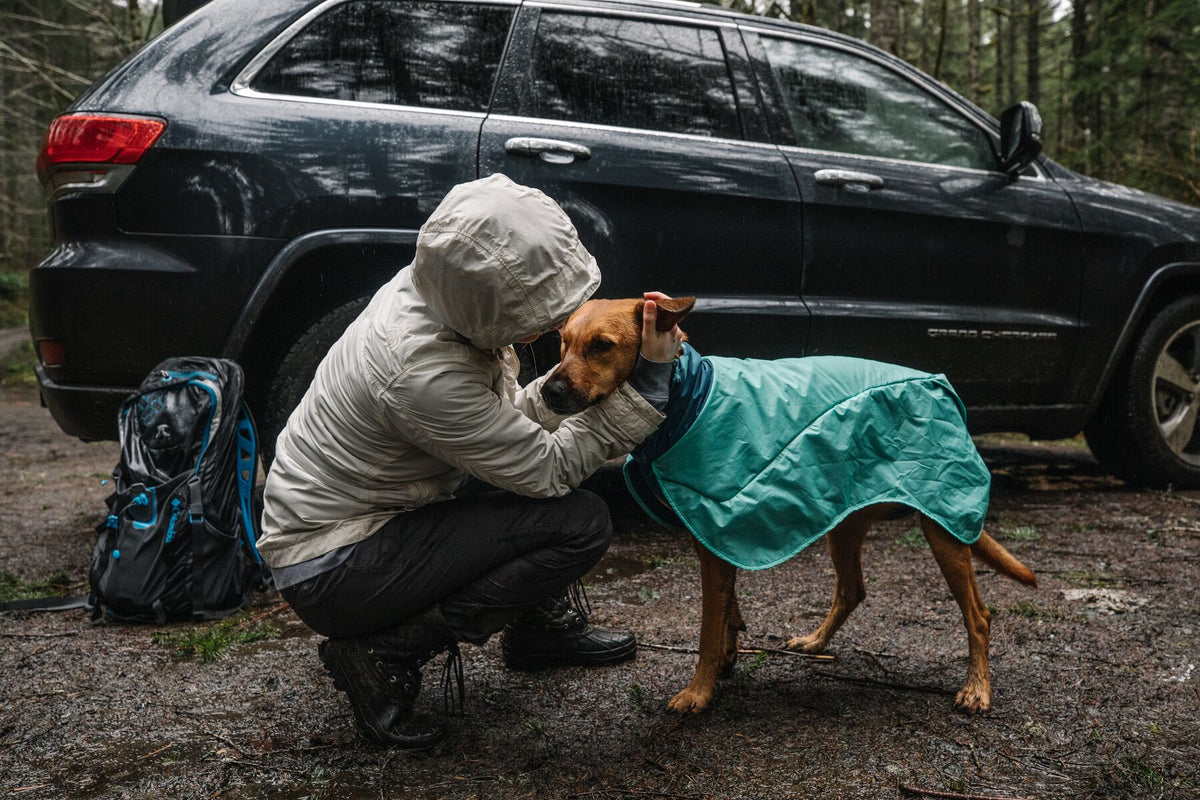 Dirtbag Dog Drying Towel | Ruffwear