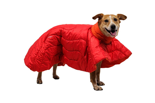 Palisades sleep poncho for dogs from Ruffwear at track and trail canine outfitters dog shop in dumfries. Dog wearing red insulated sleeping bag