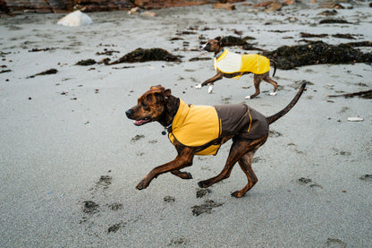 Ruffwear Sun Shower™  Dog Jacket