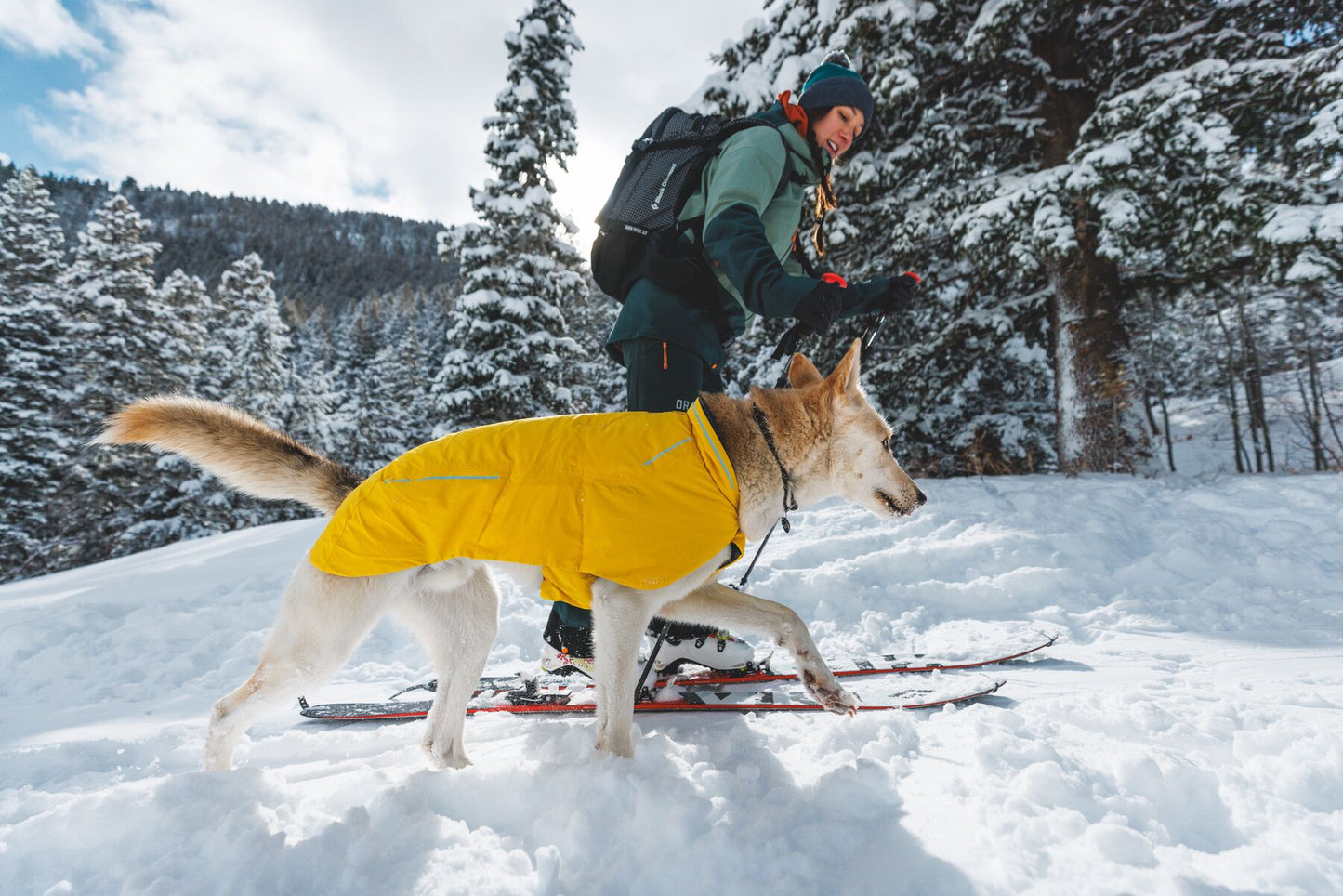Ruffwear Vert™  Waterproof Dog Jacket
