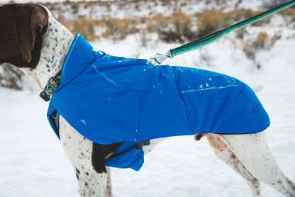 Ruffwear Vert™  Waterproof Dog Jacket