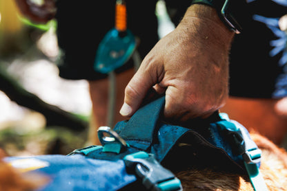 Ruffwear Flagline™ Harness
