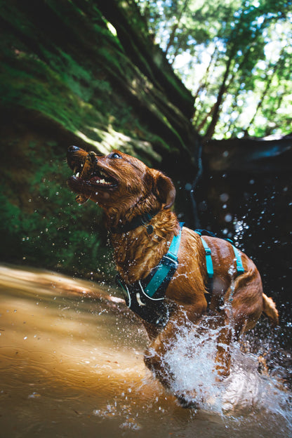 Ruffwear Flagline™ Harness