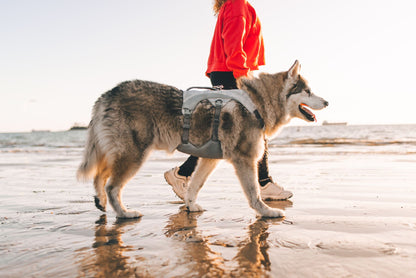 Swamp Cooler Harness | Ruffwear