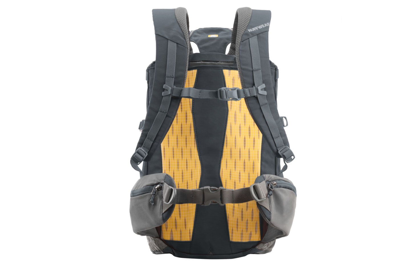 Hitch Hiker™ Dog Carrier Backpack | Ruffwear