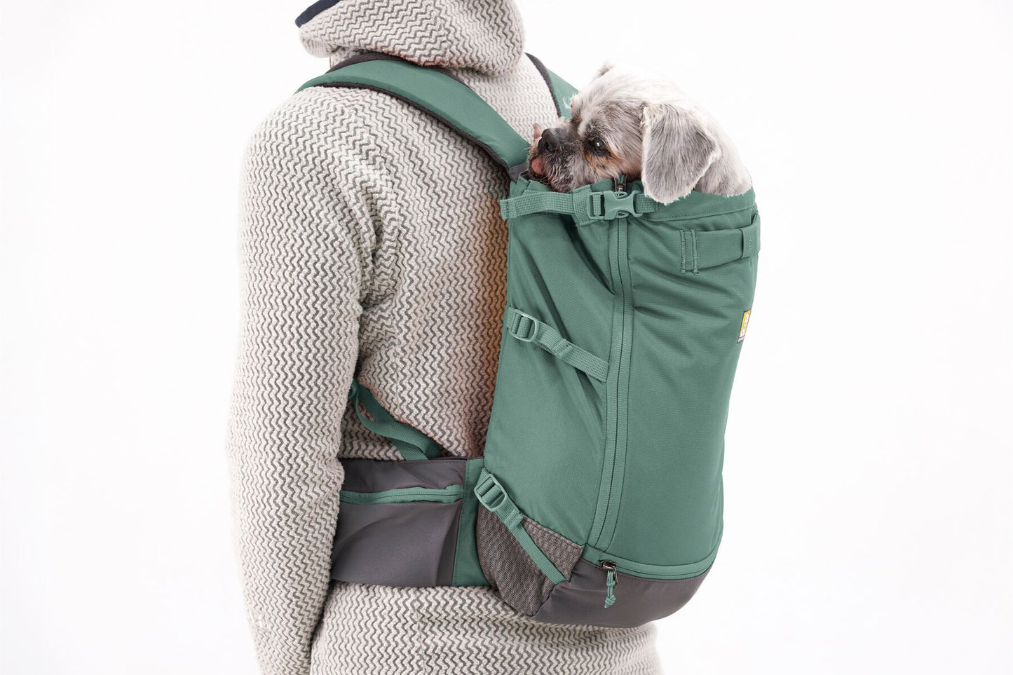 Hitch Hiker™ Dog Carrier Backpack | Ruffwear