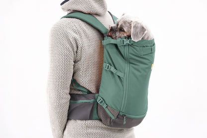 Hitch Hiker™ Dog Carrier Backpack | Ruffwear