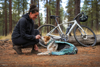 Hitch Hiker™ Dog Carrier Backpack | Ruffwear