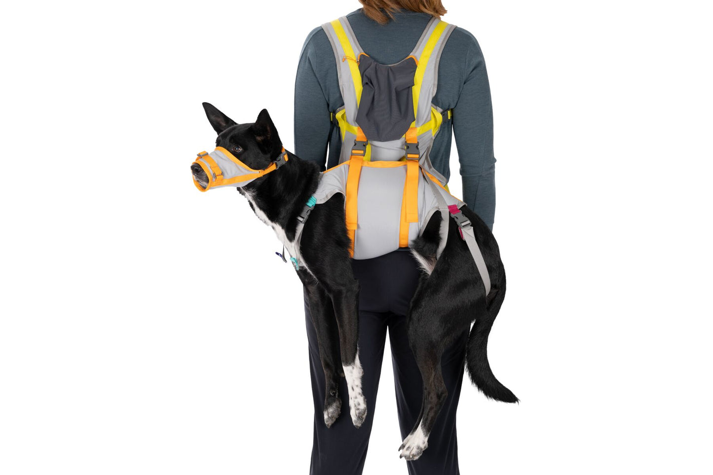 BackTrak™ Dog Evacuation Kit | Ruffwear