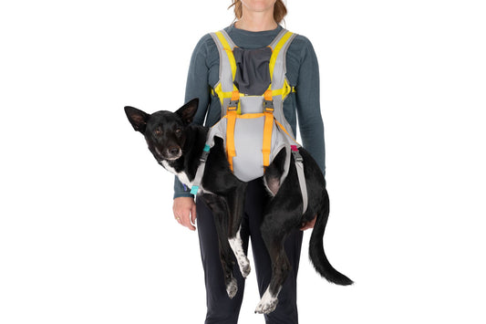 BackTrak™ Dog Evacuation Kit | Ruffwear