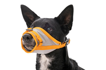 BackTrak™ Dog Evacuation Kit | Ruffwear