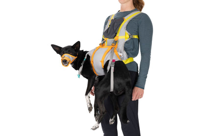 BackTrak™ Dog Evacuation Kit | Ruffwear