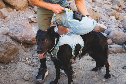 Palisades™ Pack | Dog Backpack | Ruffwear