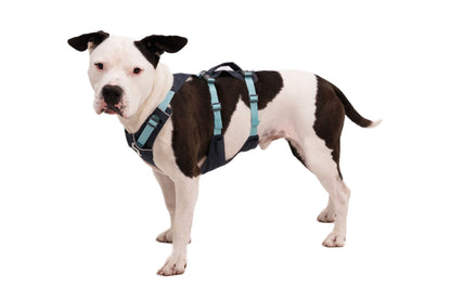 Ruffwear Flagline™ Harness