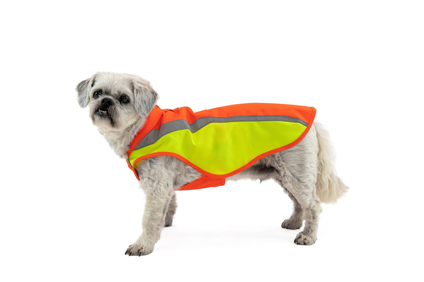 Ruffwear Lumenglow™ Hi-Vis Dog Vest