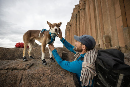 Ruffwear Grip Trex™ Dog Booties Pairs