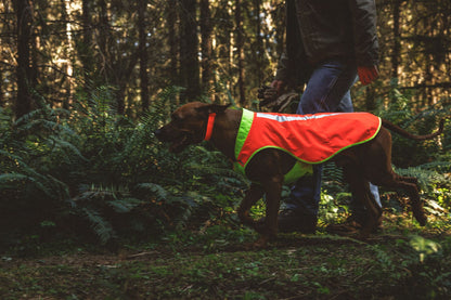 Ruffwear Lumenglow™ Hi-Vis Dog Vest