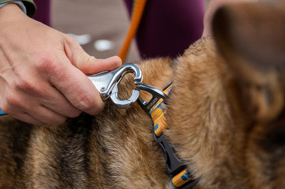Ruffwear Roamer™ Leash