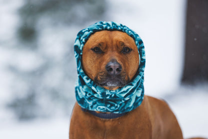 Mt. Hoodie™ Warming Neck Gaiter | Ruffwear