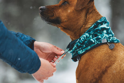 Mt. Hoodie™ Warming Neck Gaiter | Ruffwear