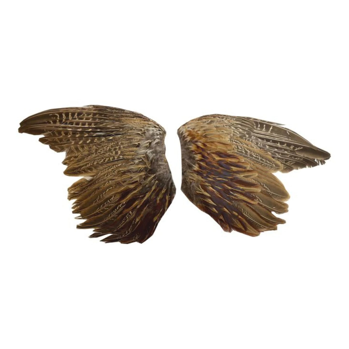 Pheasant Wings | Sporting Saint