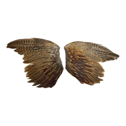 Pheasant Wings | Sporting Saint