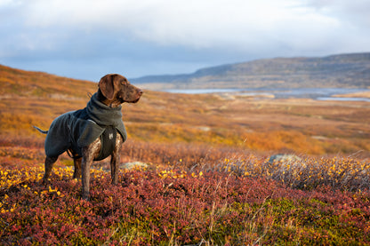 Merino Wool Dog Jacket | Non-stop Dogwear