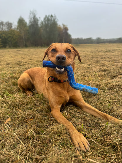 Twiggy Tags | ZigZoom | Dog Toy