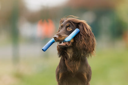 Twiggy Tags | ZigZoom | Dog Toy