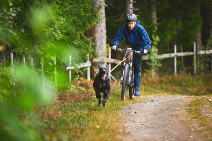 KLICKfix Bike Antenna Package | Bikejor